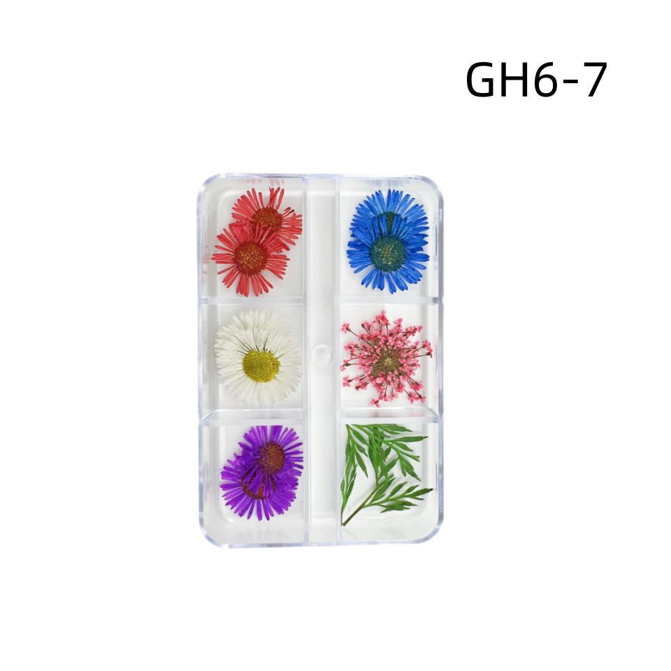 6-Grid Natural Dried Flowers for Nail Art - Japanese Style Sunflower & Baby's Breath DIY Decorations