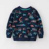 European Style Boys' Autumn/Winter Cotton Long Sleeve Hoodie