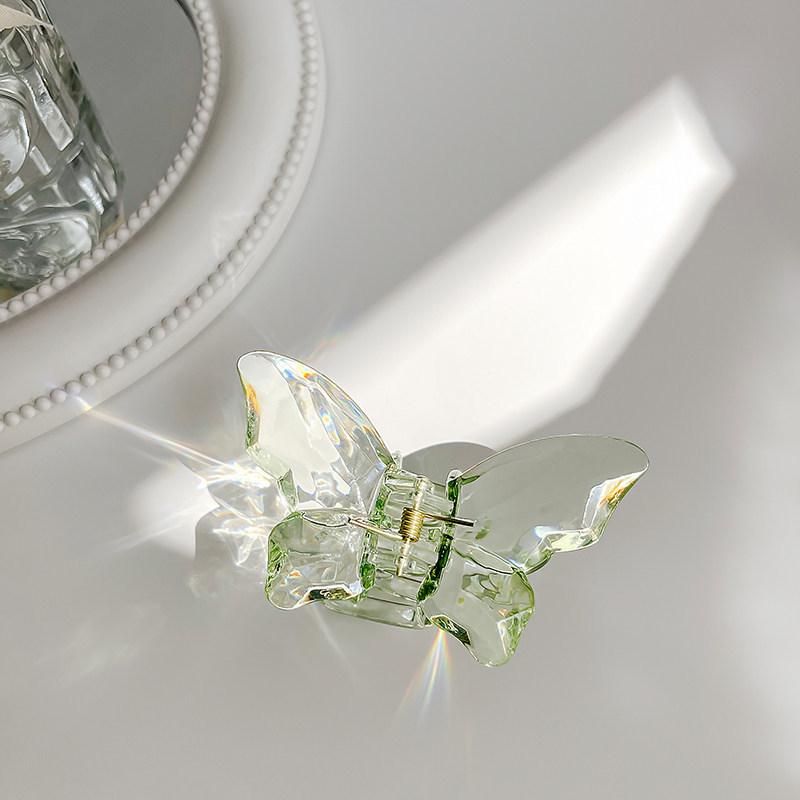 Fairy Transparent Butterfly Hair Clip: Frosted Shark Claw for Half-Tied Summer Styles