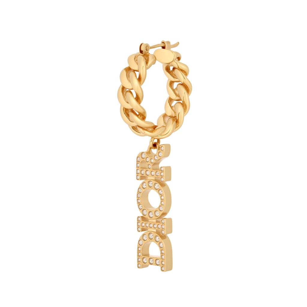 Dior Evolution Gold Plated Metal Earrings Women Earrings E1749DVOCY-D301