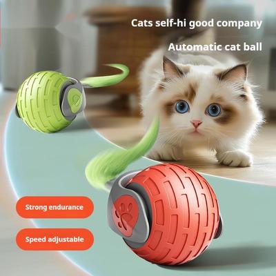 Gatos – Brinquedos para gatos