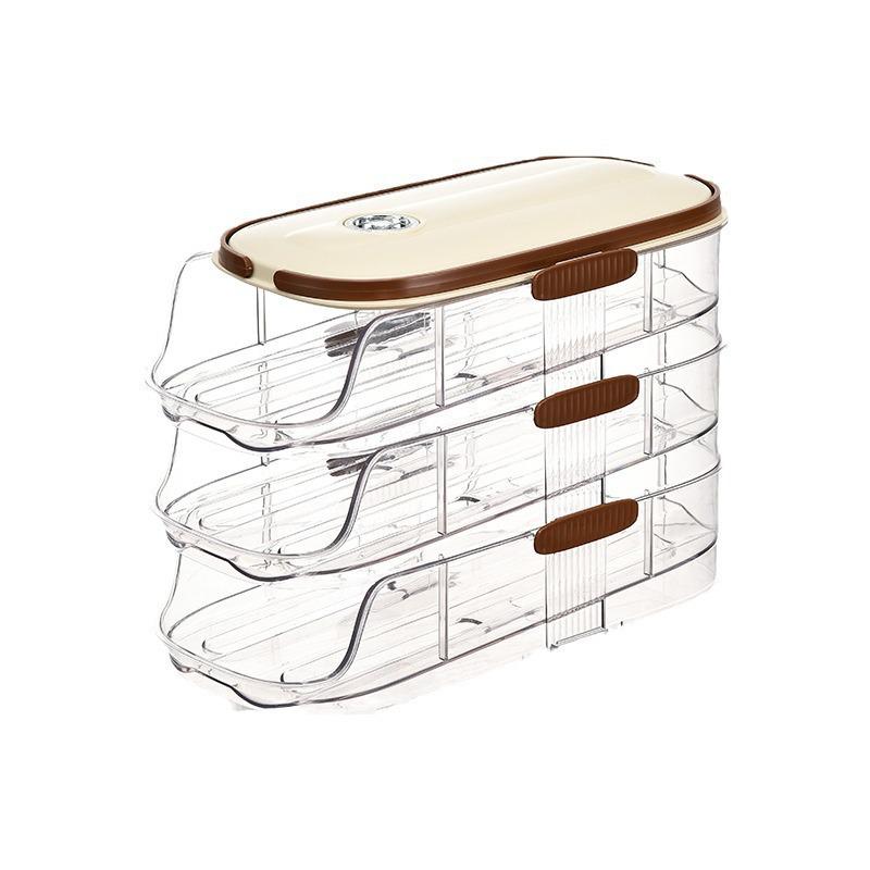 Multi-Layer Slanted Egg Rack for Refrigerator Door Storage