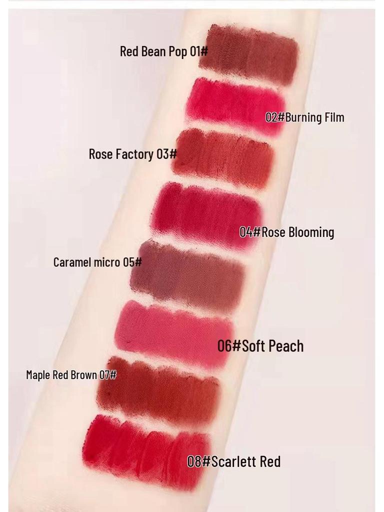 CARMELA Versatile Velvet Matte Lip Mud Lip Gloss Lipstick