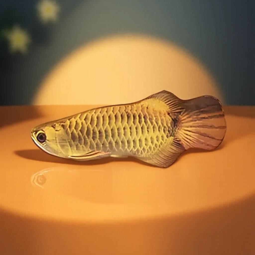 Interactive Catnip Plush Simulation Fish Chew Toys for Cats Soft 3D Fish Shape Catnip Filled Toys