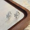 S925 Star Earrings: Niche Design, Lightweight Luxury, High-End Feel, Ear Hoops & Cuffs for Women