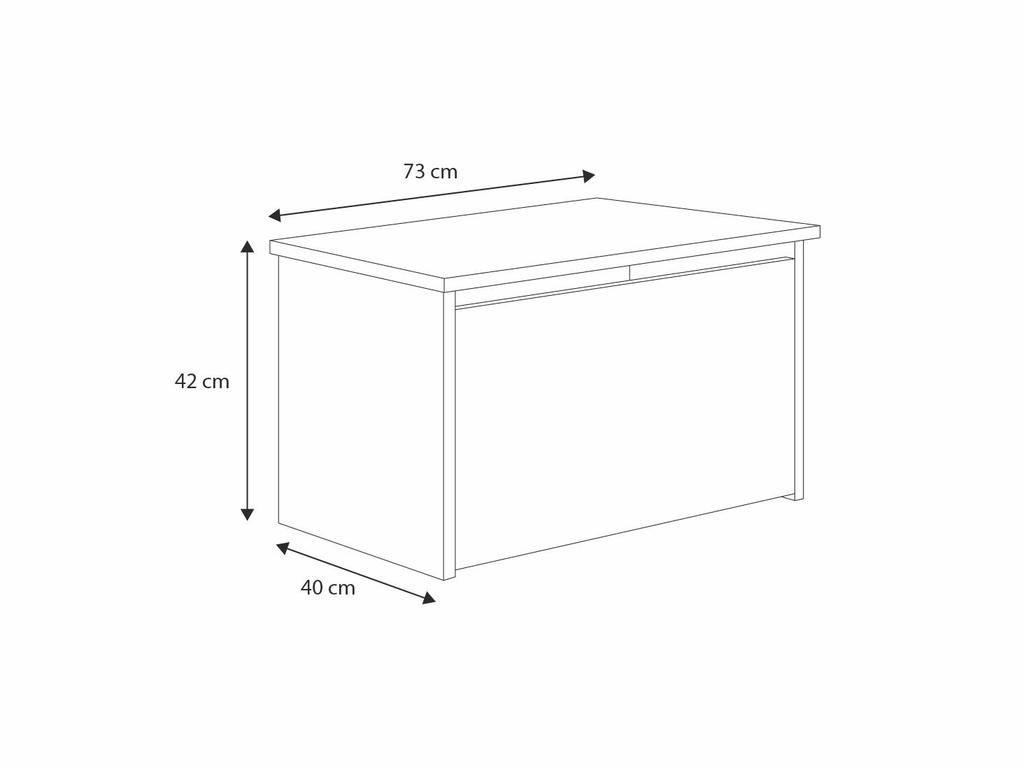 Daria toy chest - Princess in crown