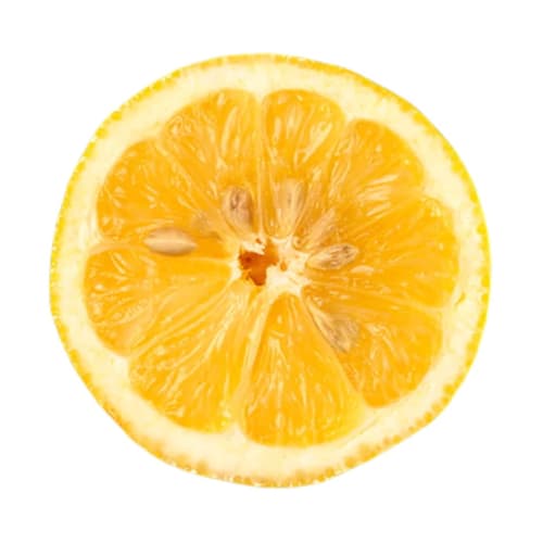 LUSH THE KISS Mouthwash, Toothpaste Tablets, Toothpaste, Oral Care, Whitening, Self-Whitening, Bad Breath Prevention