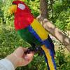 Colorful Large Parrot Decorative Ornament with Feathers