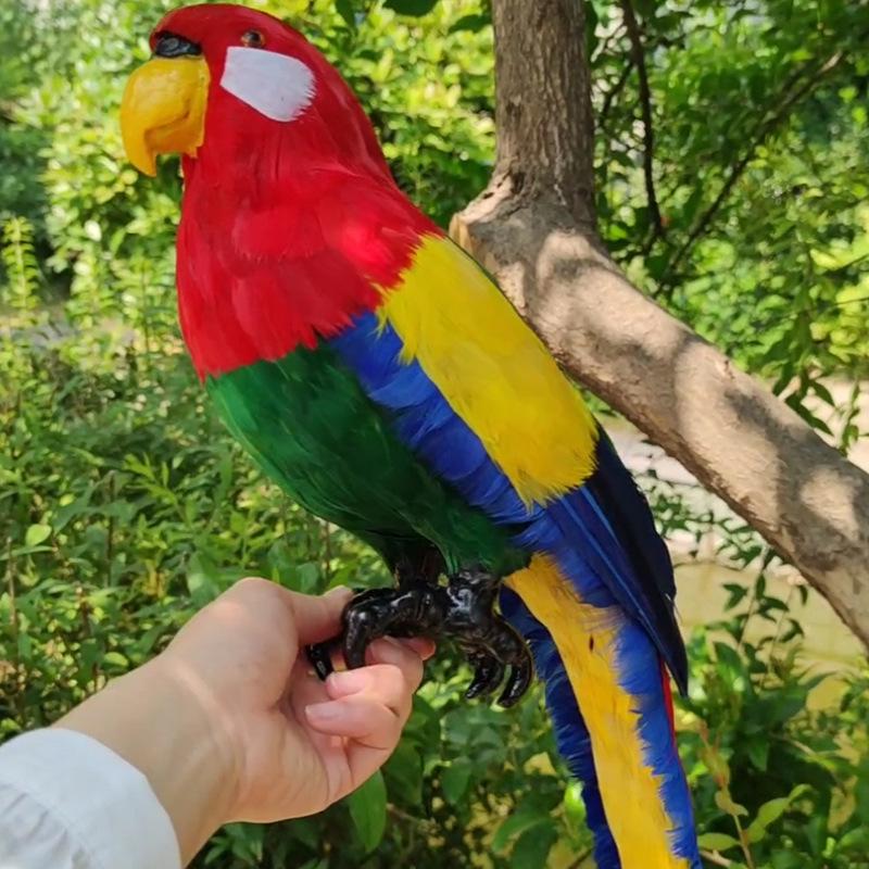 Colorful Large Parrot Decorative Ornament with Feathers