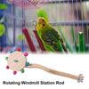 Natural Wooden Parrot Rotating Windmill Station Rod Colorful Birds Standing Perch Toy  Budgies