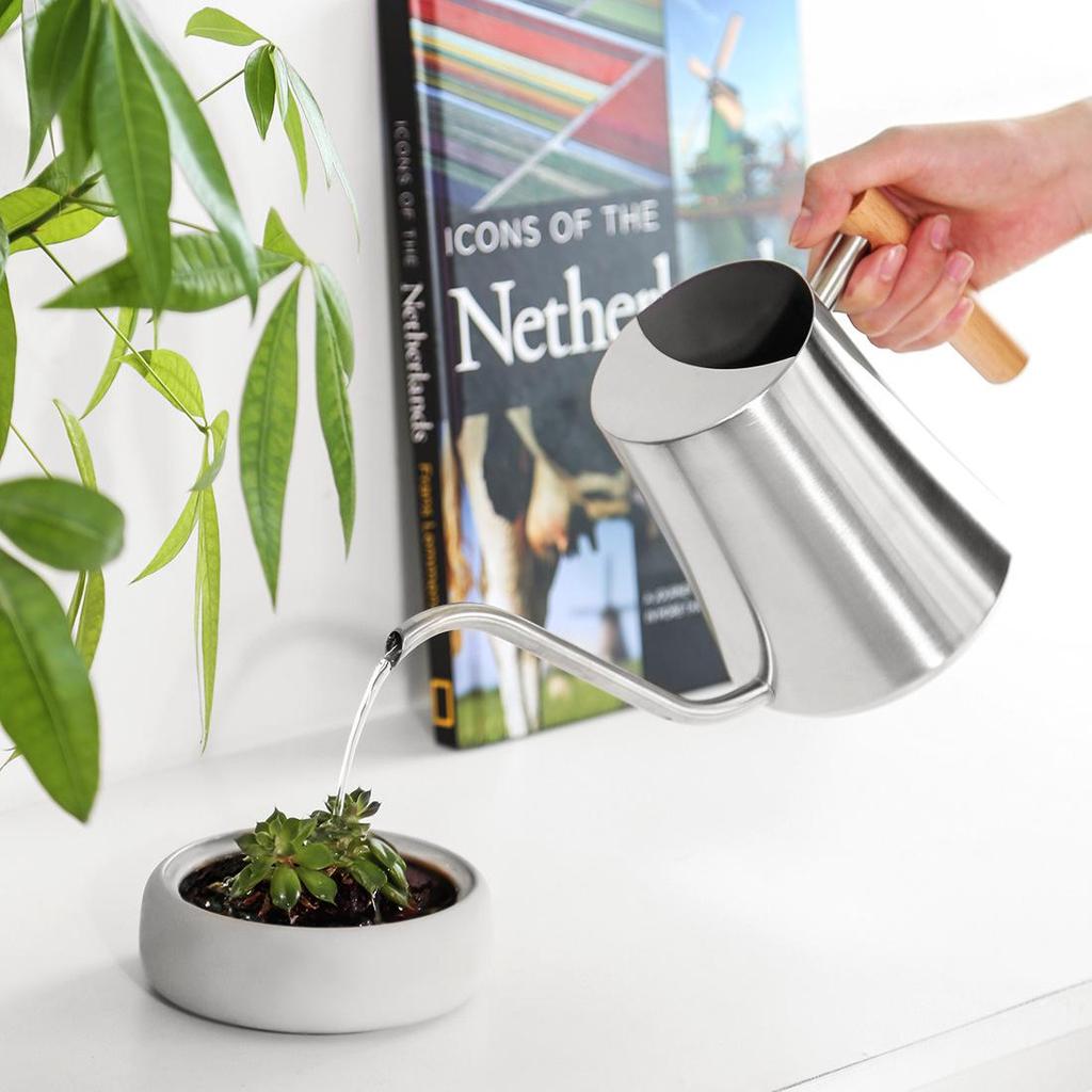 Stainless Steel 1000ml Watering Can with Wood Handle – Creative Slim Waist Design for Gardening