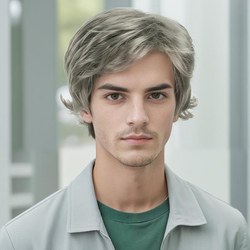 Men Synthetic Short Black Gray Wigs with Bangs Layered Wave Grey Hair for Daily Party Cosplay Heat Resistant Fibre