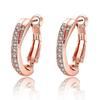 New 925 Silver Earrings Inlaid Zircon Earrings 14K Rose Gold Earrings For Women'S Charm Jewelry Gift