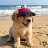 Adjustable Pet Sun Hat Sport Cap Cat Sunshade Cap Adorable Dog Visor Hats For Small Dogs Cats