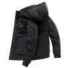 Doudoune Homme Hiver Polyvalente Légère Épaisse Duvet de Canard Blanc Capuche Manteau Homme