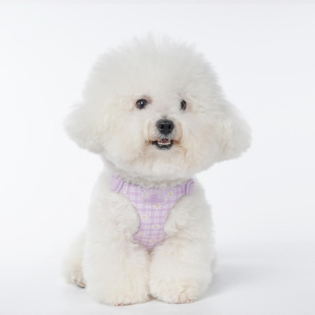 & Co. The Simply No-Pull Dog - Size Small - Vest to Stop Pulling & Walk Easy - Comfortable Leash Training Product w