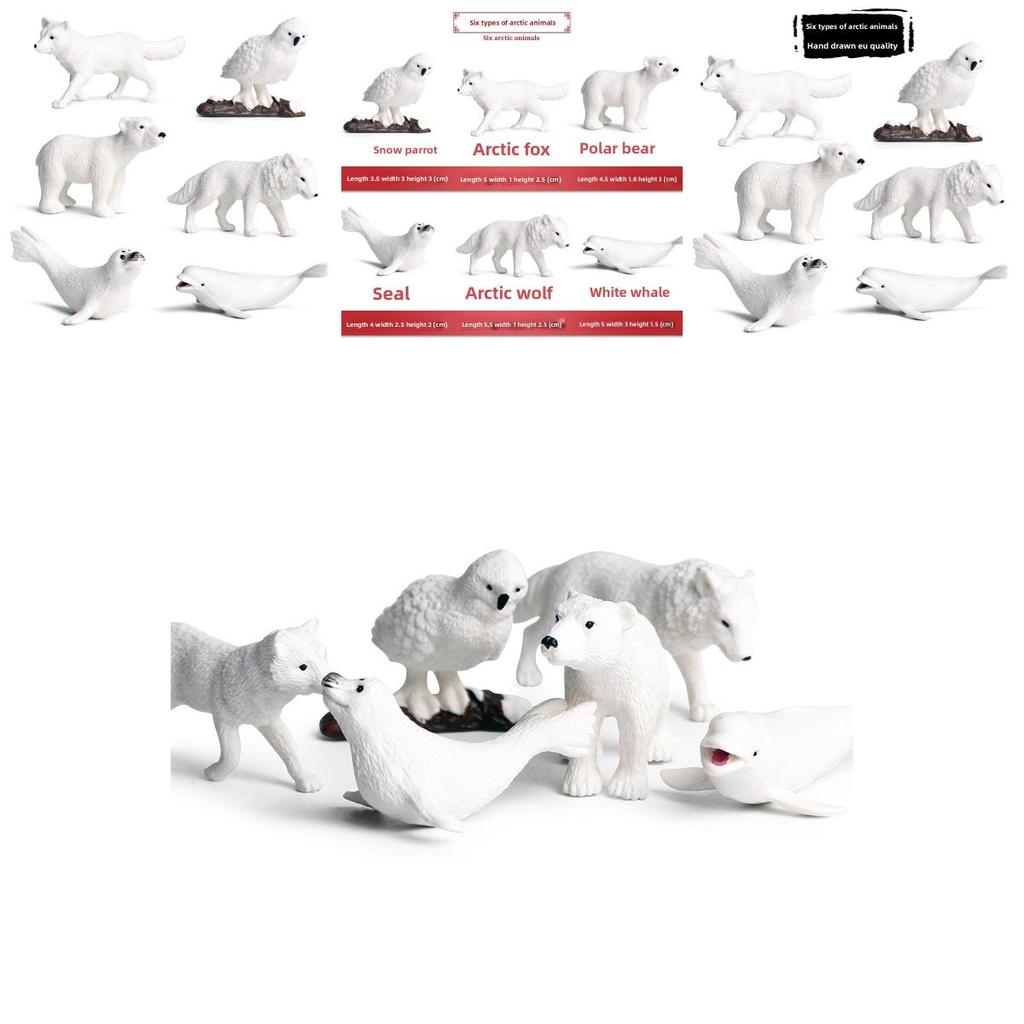 Marine Animal Replica Model Set With Plastic Material For Collectors And Kids