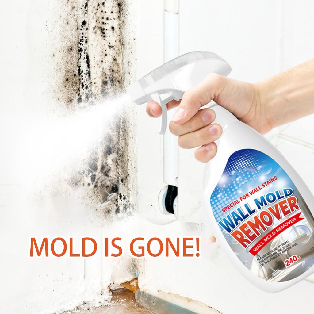 Efficient wall stain remover for painting walls 240ml