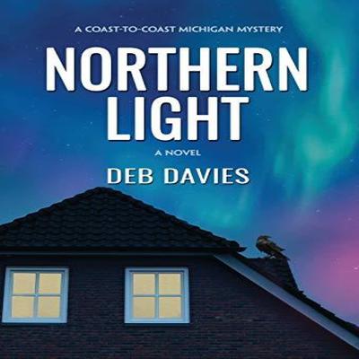 Northern Light by Deb Davies Hardback Book 9781643971209