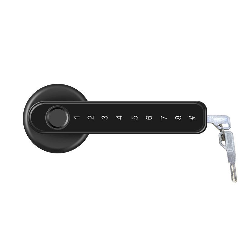 Fingerprint Lock for Indoor Bedroom/Office: Wooden Door Password & Smart Electronic Alloy Lock
