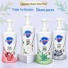 Safeguard Soothing Tea Tree Oil Foaming Body Wash, 500g