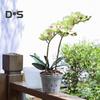 Vaso transparente para orquídeas, vaso de flores reutilizável para orquídeas com furos, plantador ventilado de plástico para replantio, cultivo de orquídeas em ambientes internos e externos