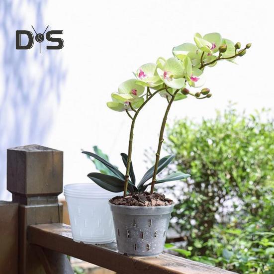 Čirý květináč na orchidej Opakovaně použitelný květináč na orchidej s otvory Plastový květináč s ventilací pro přesazování rostoucích vnitřních venkovních orchidejí