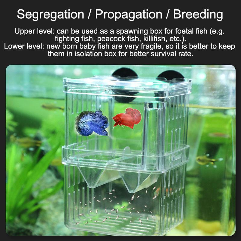 Peacock Fish Breeding Box Fish Aquarium Acrylic Isolation Box Fish Tank Hatchery Incubator Breeder Box