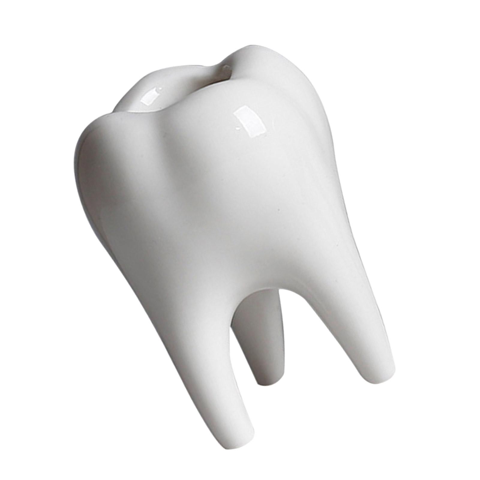 

Керамический горшок для суккулентов, кашпо в виде зуба, украшение для суккулентов, кактусов, контейнер для дома, балкона белый