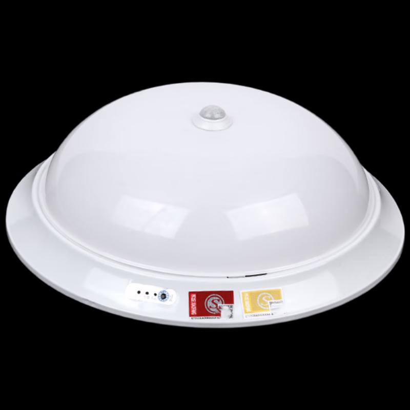 UOSU 12W Emergency Motion Sensor Ceiling Light