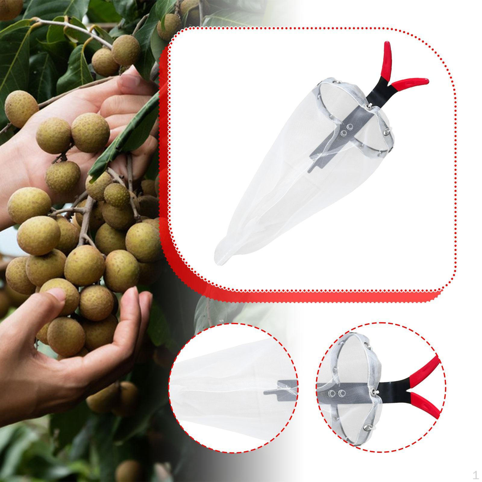 

Сборщик фруктов Сумка для сбора Коллектор Многоцелевой садовый ручной инструмент Ловец фруктов для апельсинов