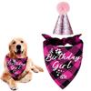 NEW Pet Birthday Party Hat Cats Dog Birthday Hat Dog Birthday Triangle Scarf Cat Accessories Party Wear Decoration Pet Product