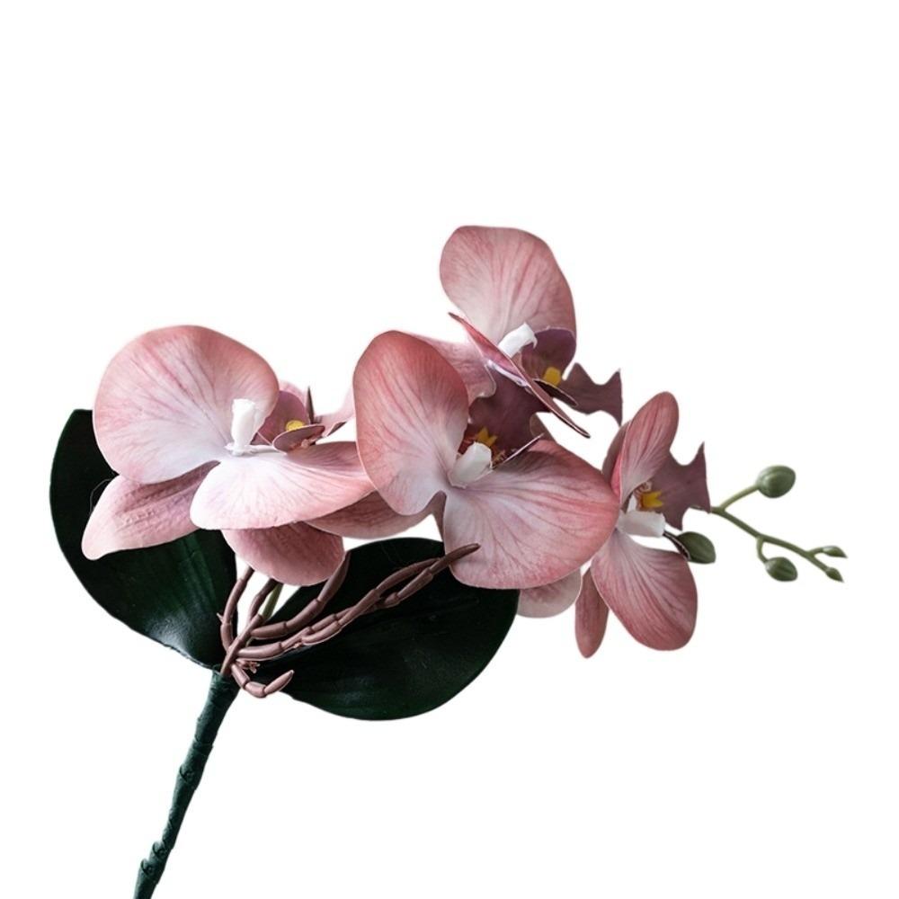 Cloth Simulation Phalaenopsis Vivid Fake Butterfly Orchid Artificial Moth Orchids  Bedroom