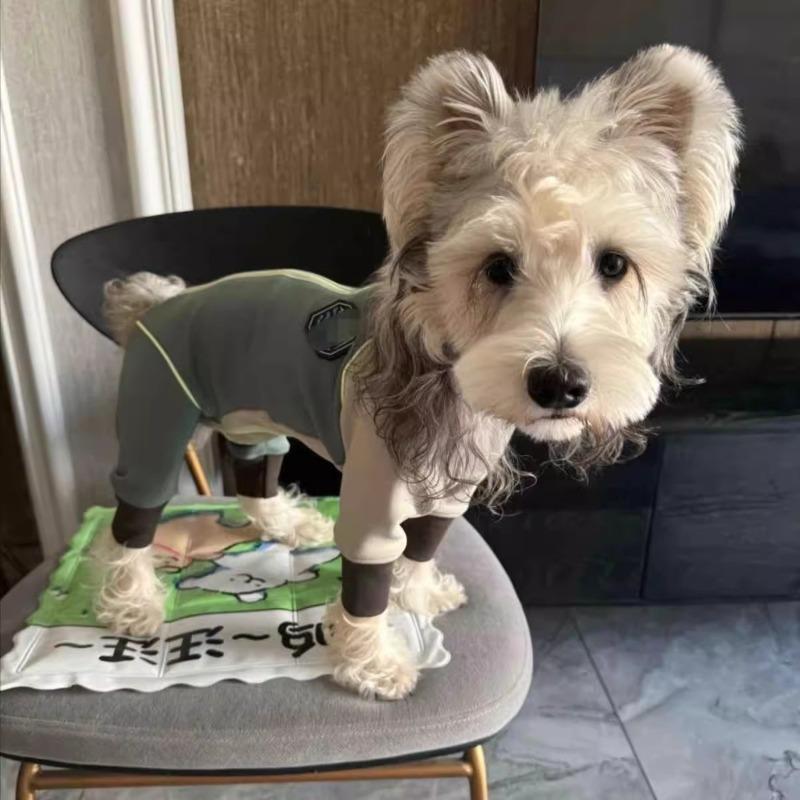 New Dog Clothes Autumn and Winter Four-legged Protective Sweater Teddy Bigbear Schnauzer Maltese Cat and Dog