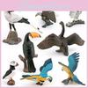 Wildlife Bird Figurine Macaw Plastic Model For Collector Display