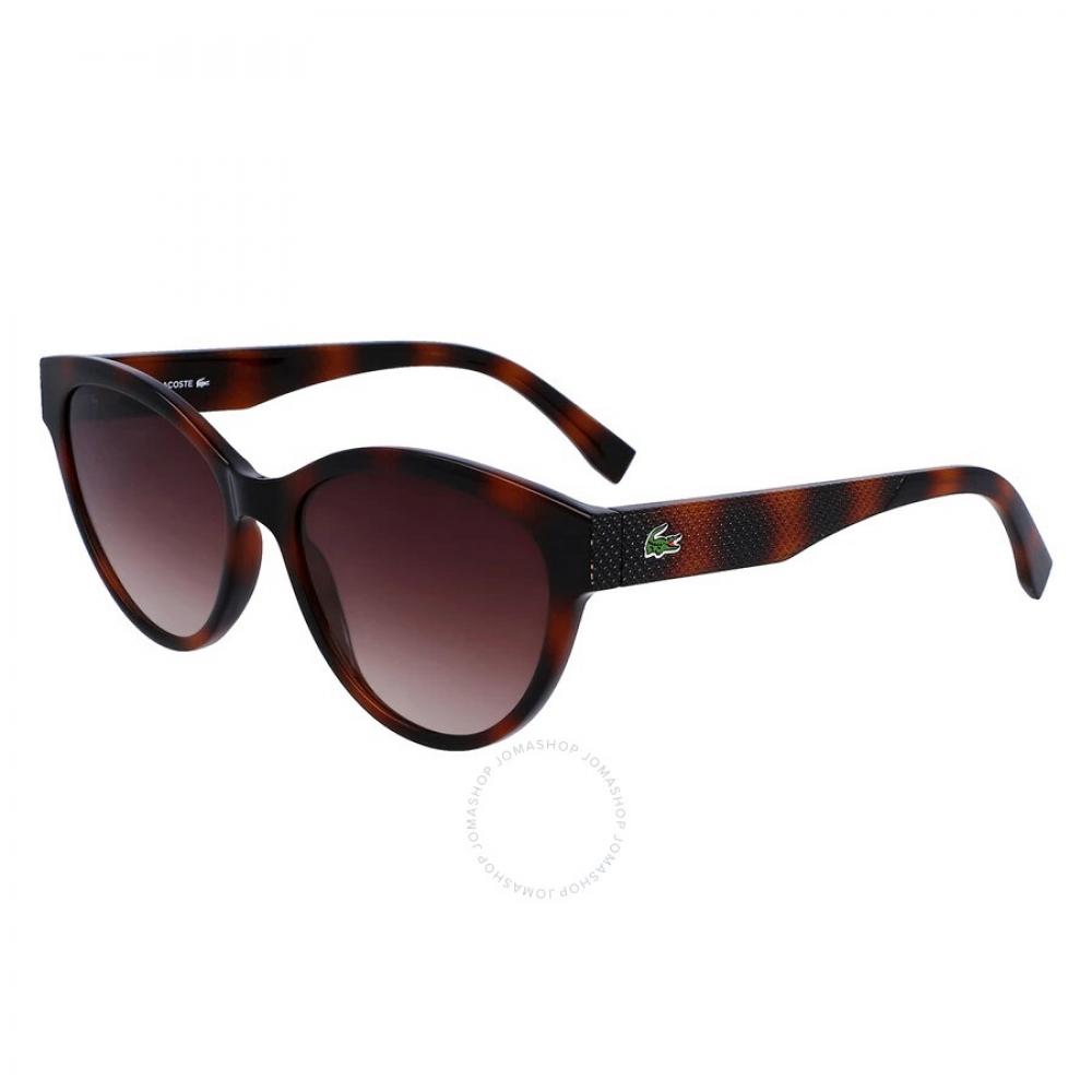 

Lacoste Brown Gradient Cat Eye Ladies Sunglasses L983S 240 55
