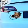 Cute Fox 3D Vinyl Car Sticker, Fun Insurance Bumper Sticker for Cars, Trucks, Motorcycles, Walls, Windows, PVC Material