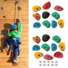 10Pcs Rock Climbing Holds Beginners Accessories Climbing Rock Wall Grips for Home Gym Tree Climbing Tree House Outdoor Climbing