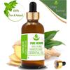 Pure Herbs Ingwer 100% reines und natürliches ätherisches Öl aus Zingiber Officinale Glas UKZA 566