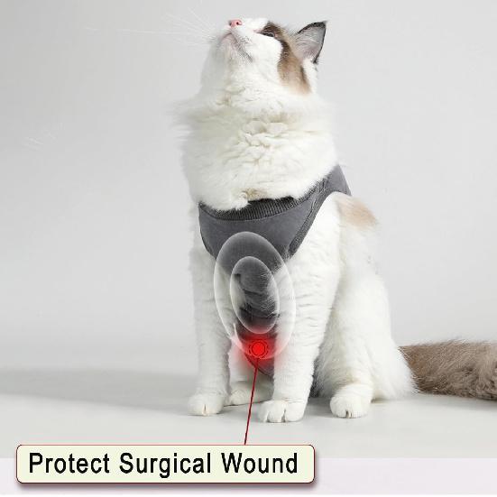 Katzen Genesungsanzug Weicher Katzen Operations-Genesungsanzug Katzen-Einteiler für Katzen nach der Operation, Kegel-E-Halsband-Alternative Leckschutz-Schutzanzug