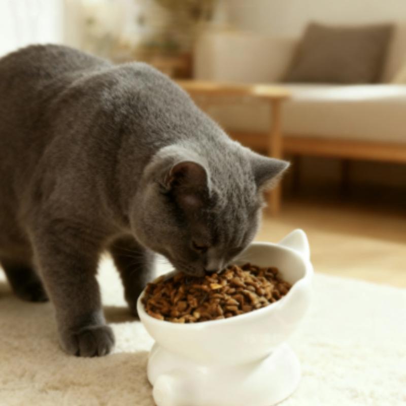 Cute Ceramic Cat Bowl with High Feet Dog Water Bowl Pet Supplies Cervical Spine Protection Diagonal Design Pet Accessories
