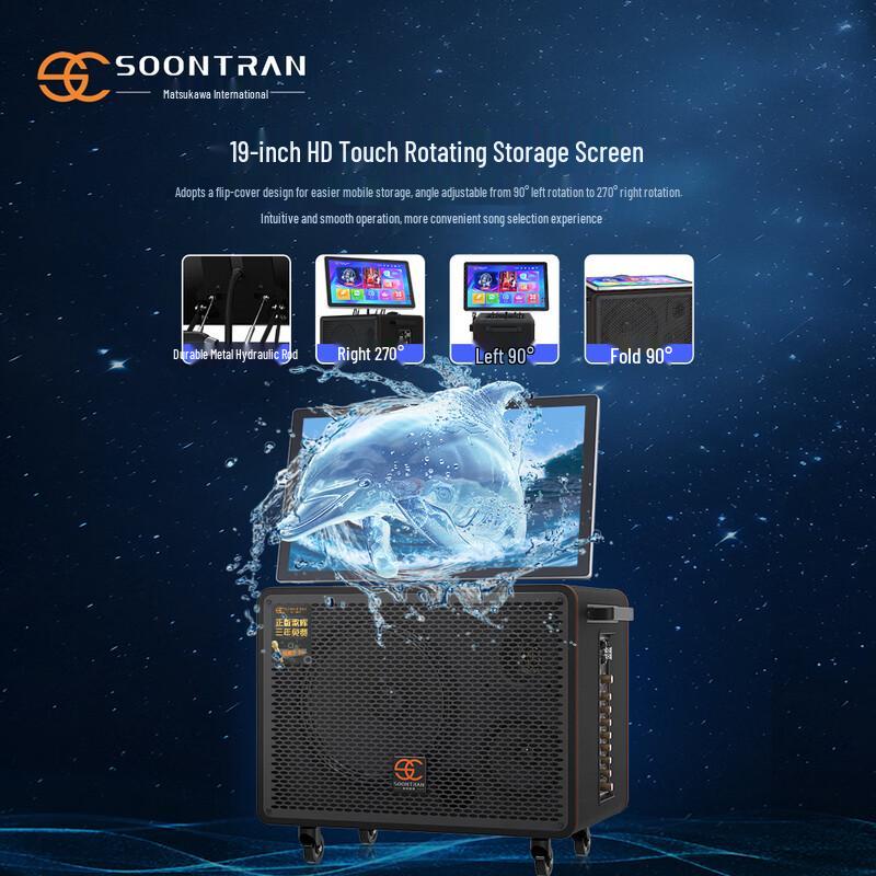 Songchuan International SA20 Portable Outdoor Karaoke Speaker with Subwoofer CN Plug (adapter Included) (CN Version)