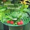 Strawberry Plant Support Frame