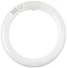 Fluorescent Lamp Round Shape 30W 2 Pack Cool Color Clear Light Palux Premium FCL30EDW28MF22K