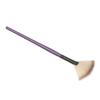 1Pc Pro Fan Shape Makeup Cosmetic Brush Blending Highlighter Face Powder Tool
