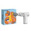 HEZHENG Percussion Massager Gift Set CN Plug (adapter Included)
