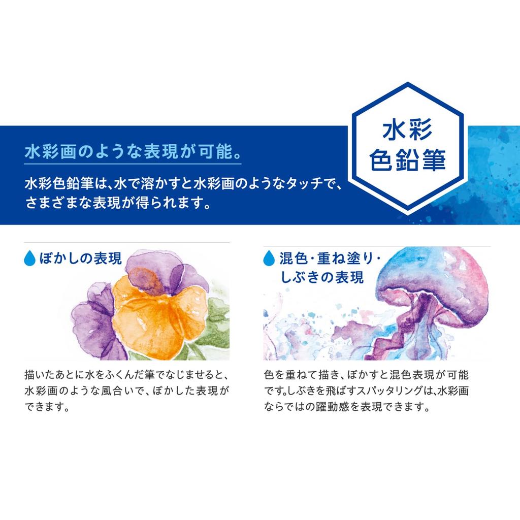 Shachihata Artline Watercolor 24 with Watercolor Pencils, Colors, Brush, KCP-W24C/H