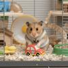 Retro-Schnalle Hamsterweste Ärmellos Kleintierjacke Gemütliche Hamsterjacke Foto-Outfit