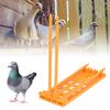 3Pcs Pigeons Foot Rings Frame 4 Column Independent Save Space Racing Pigeons Supplier Foot Place for Pigeons Farm