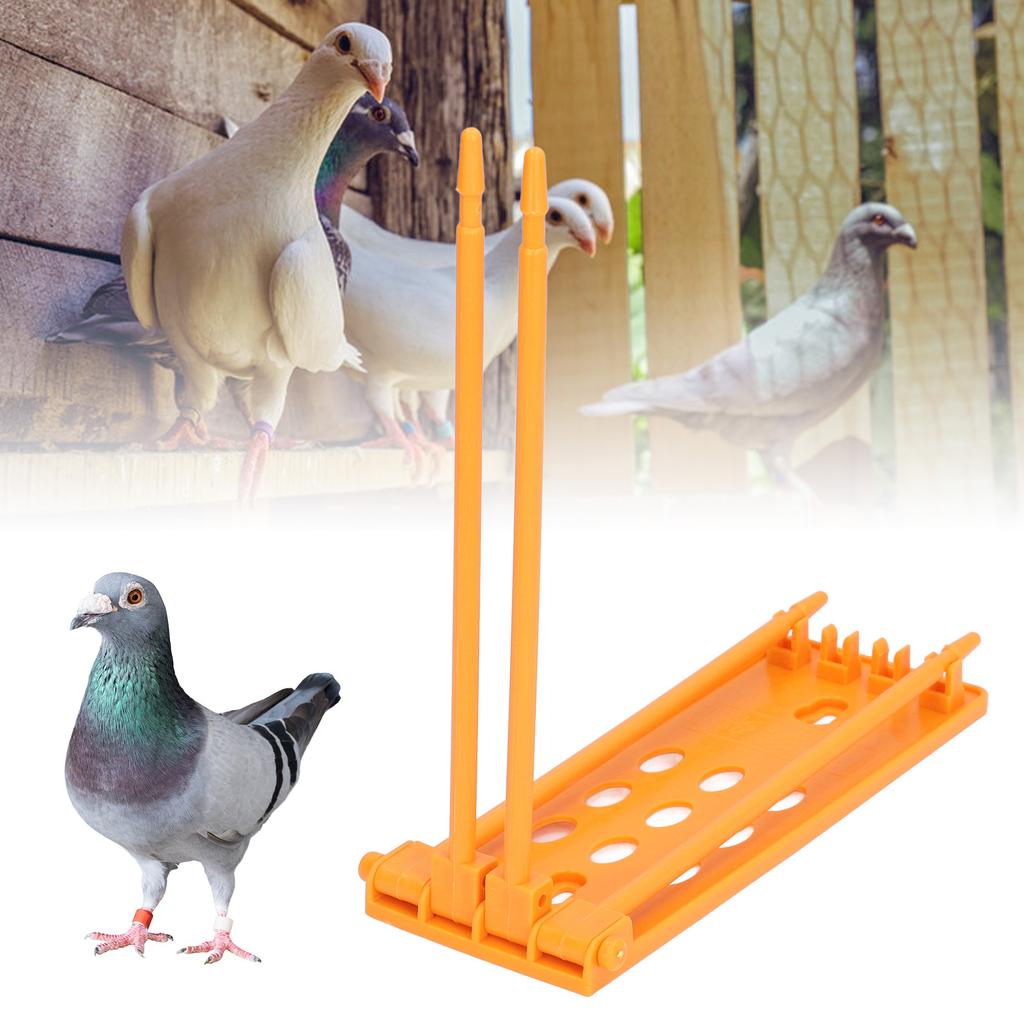 3Pcs Pigeons Foot Rings Frame 4 Column Independent Save Space Racing Pigeons Supplier Foot Place for Pigeons Farm